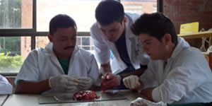 Institución Educativa UNAD