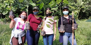 La UNAD presente en las jornadas de reforestación realizadas en el Distrito de Santa Marta y corregimientos aledaños, en el marco del día del árbol.