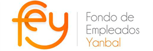 FEY LOGO