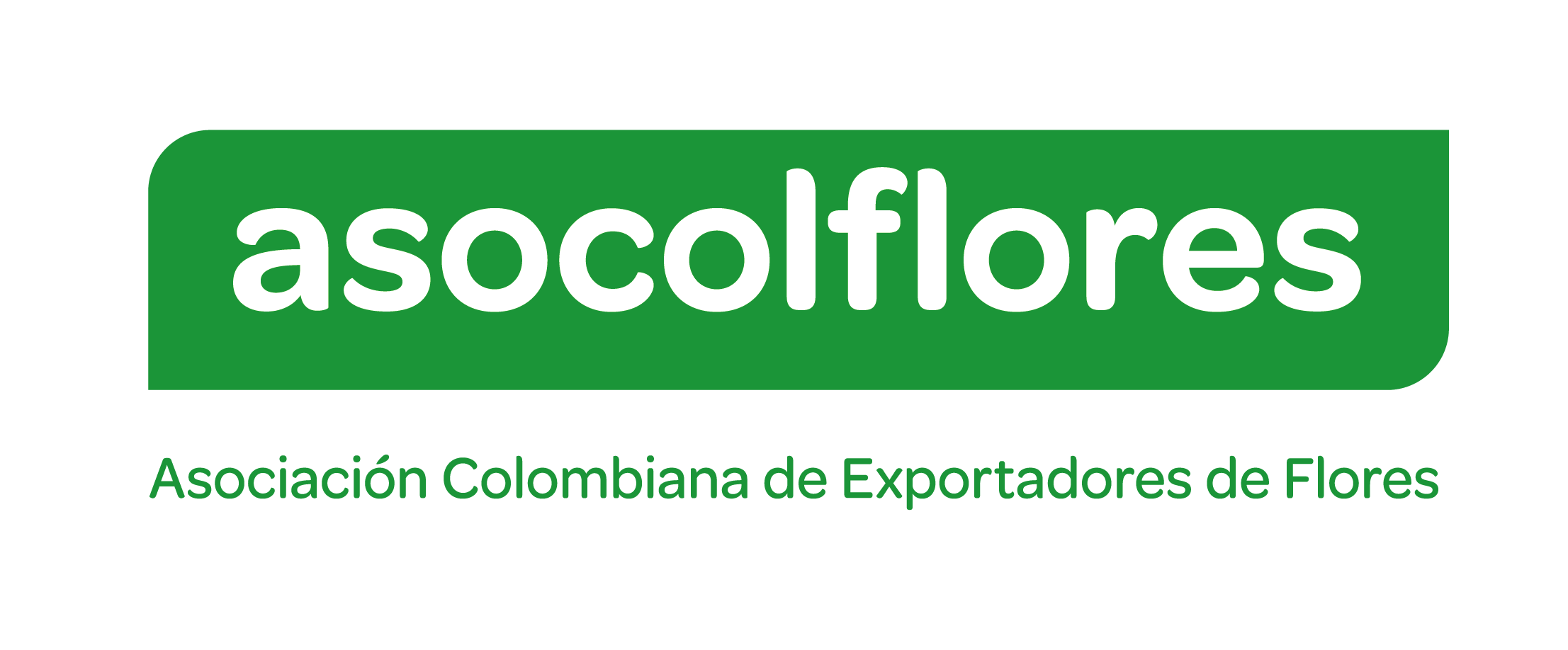 Logo Asocolflores 1