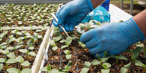 La UNAD realiza procesos de transferencia de tecnología y conocimiento a través del programa FarmerToFarmer de la USAID