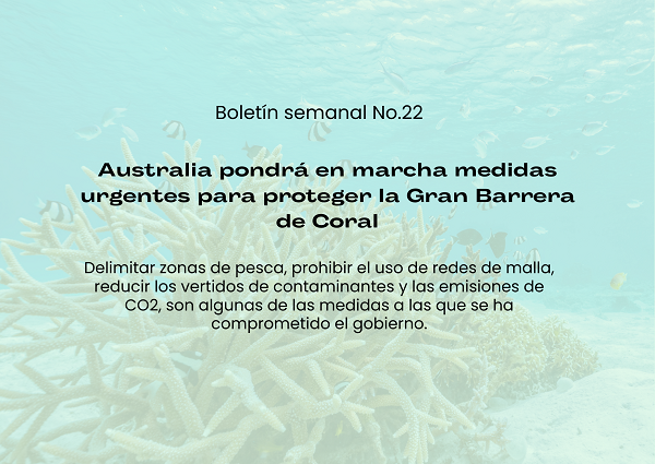 Boletin semanal no 22 3 7