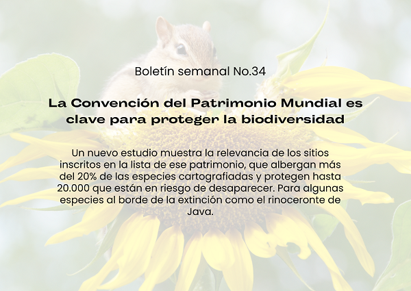 Noticia1 Ambientalex 04092023