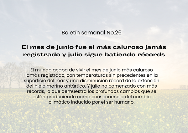 Noticia1 Boletin26