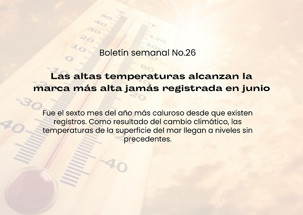 Noticia2 Boletin26