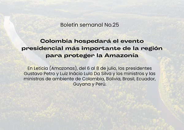 Noticia2 boletin no.25