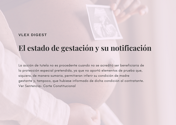 Noticia2 vLex 24112023