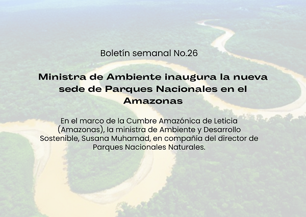 Noticia3 Boletin26
