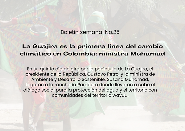 Noticia3 boletin no 25
