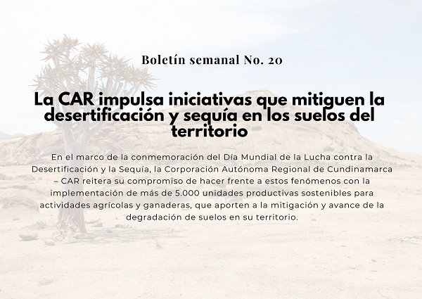 3amb
