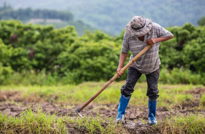 La UNAD recibió la habilitación como Entidad Prestadora de Servicios de Extensión Agropecuaria