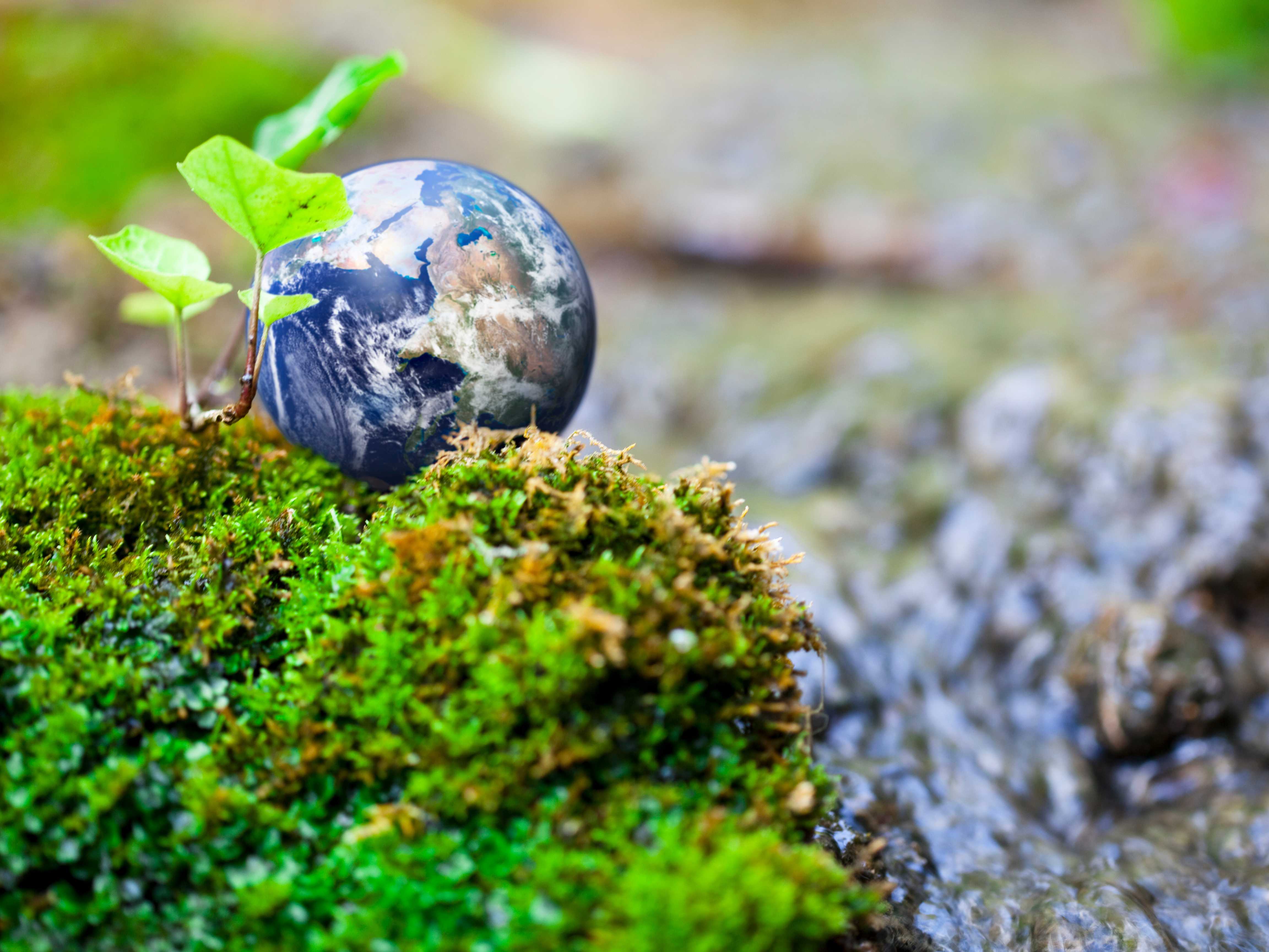 La UNAD impulsa el debate global sobre sostenibilidad en la COP16