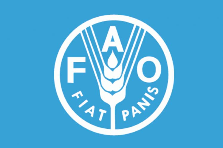La UNAD se une a AGRIS de la FAO y recibe el Sello de Proveedor de Datos Activo del Año 2025