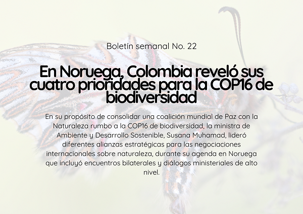 Noticia1 Ambientalex 04072024