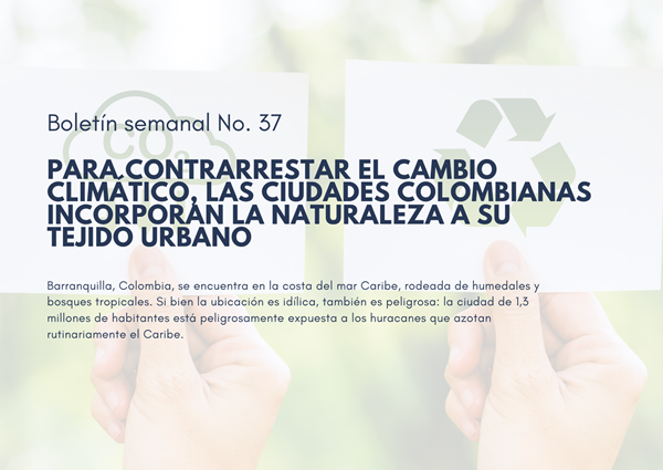 Noticia1 Ambientalex 18102024
