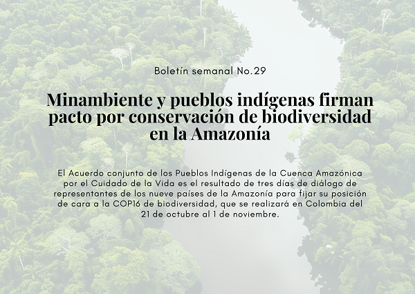 Noticia1 Ambientalex 20082024