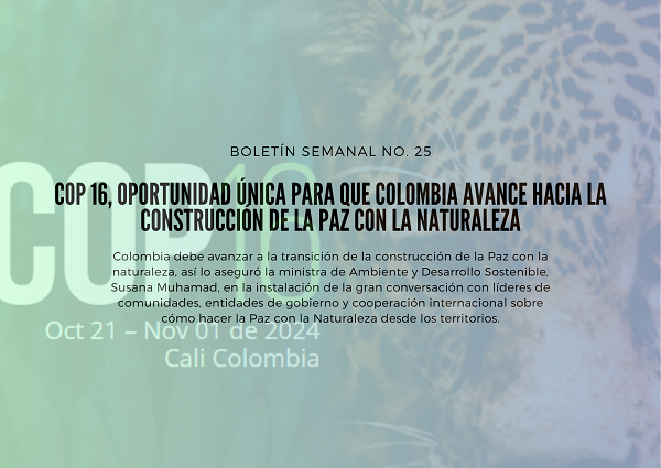 Noticia1 Ambientalex 23072024