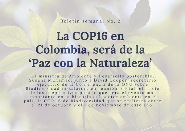 Noticia1 Ambientalex 24012024