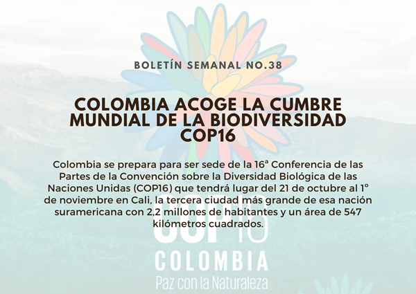 Noticia1 Ambientalex 25102024