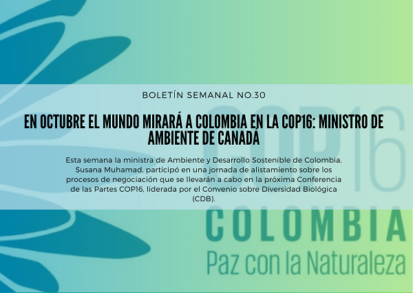 Noticia1 Ambientalex 26082024