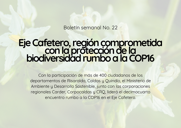 Noticia2 Ambientalex 04072024
