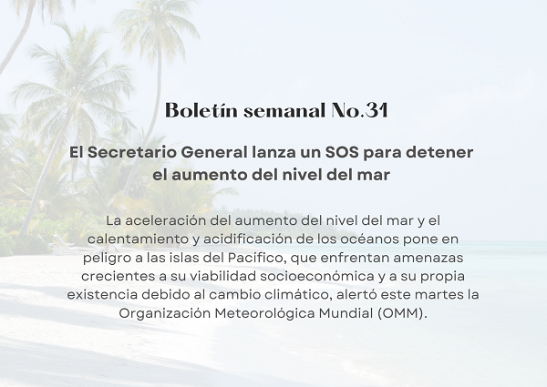 Noticia2 Ambientalex 04092024