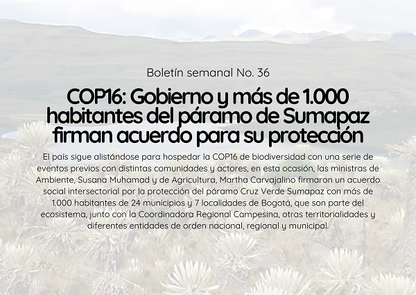 Noticia2 Ambientalex 07102024