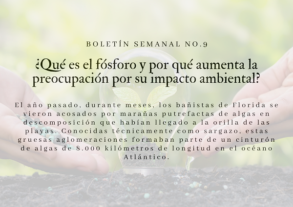 Noticia2 Ambientalex 11032024