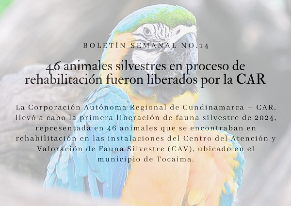 Noticia2 Ambientalex 16042024