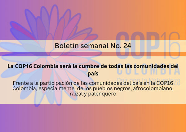 Noticia2 Ambientalex 17072024