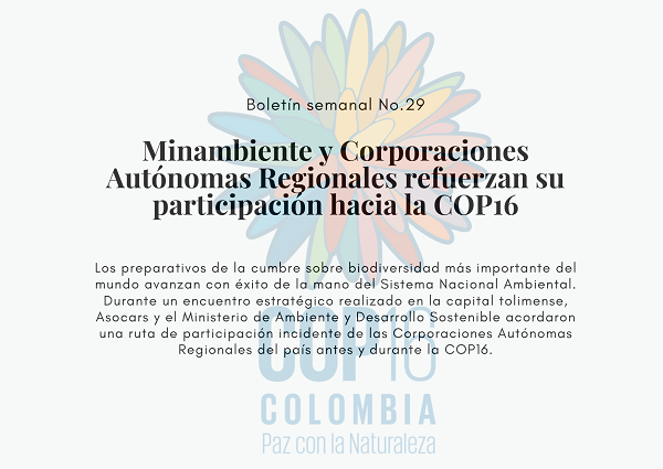 Noticia2 Ambientalex 20082024