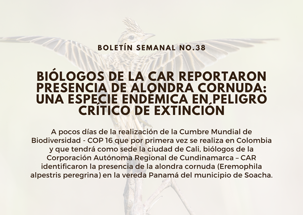 Noticia2 Ambientalex 25102024
