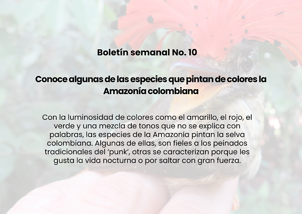 Noticia3 Ambientalex 02042024