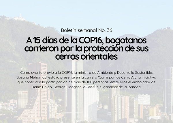 Noticia3 Ambientalex 07102024