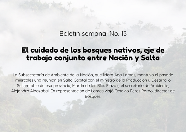 Noticia3 Ambientalex 10042024