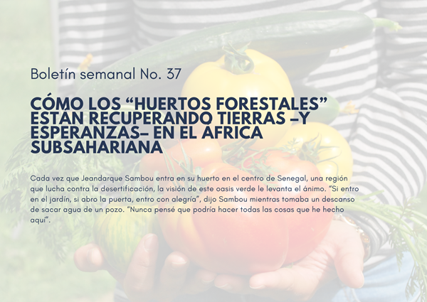 Noticia3 Ambientalex 18102024