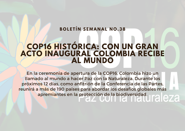 Noticia3 Ambientalex 25102024