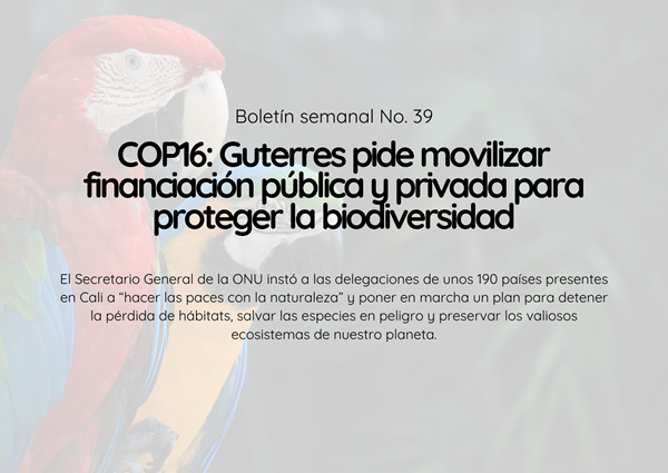 Noticia3 Ambientalex 30102024