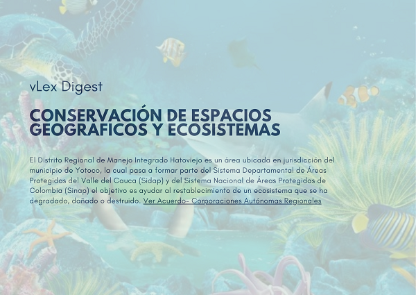 Noticia4 vLex 23072024