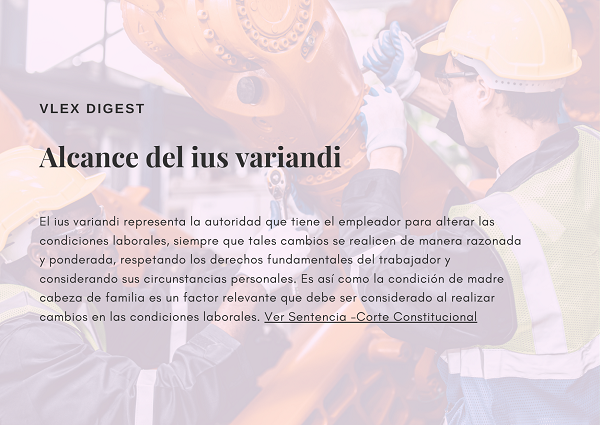 Noticia5 vLex 23072024