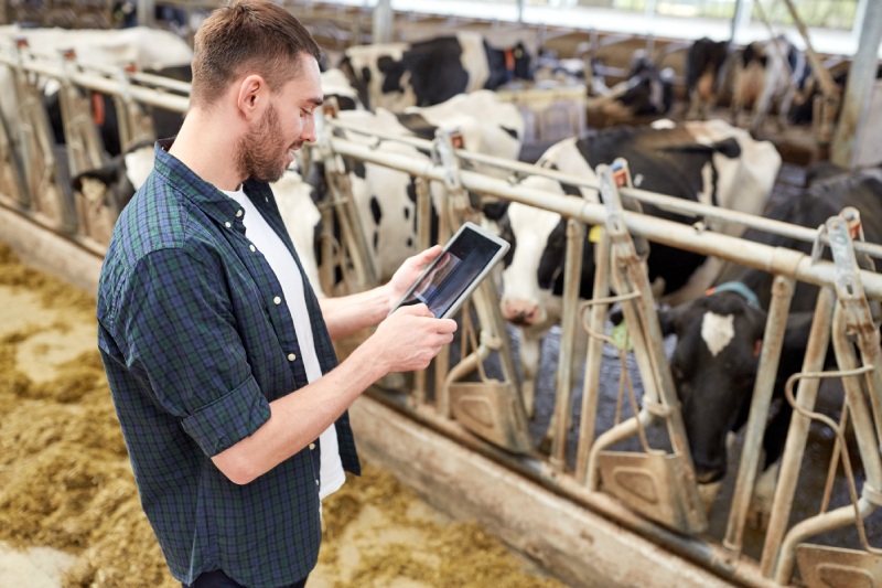 Alimentación animal sostenible: impacta el planeta y la producción desde casa