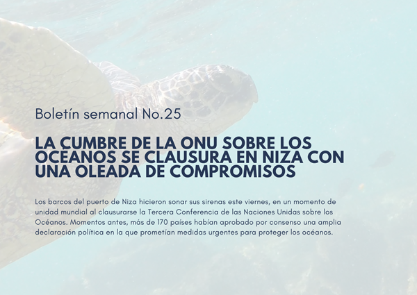 Noticia1 Ambientalex 08072025