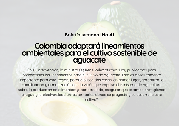 Noticia1 Ambientalex 10112025