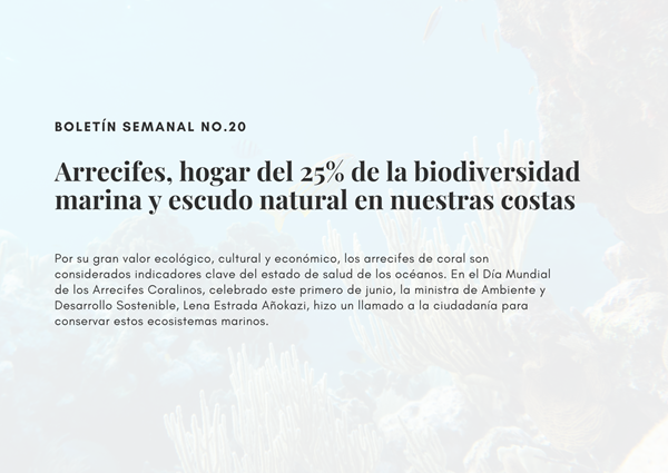 Noticia1 Ambientalex 11062025