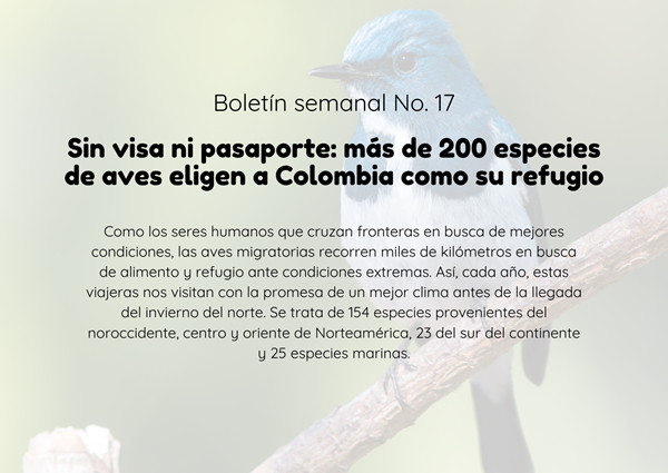 Noticia1 Ambientalex 12052025