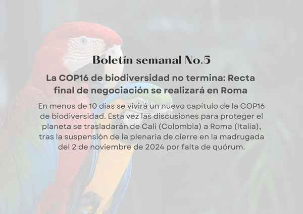 Noticia1 Ambientalex 19022025
