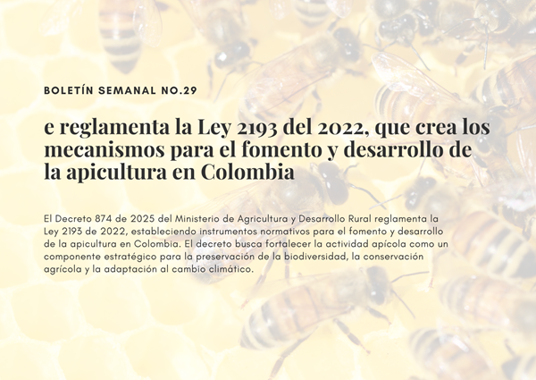 Noticia1 Ambientalex 21082025