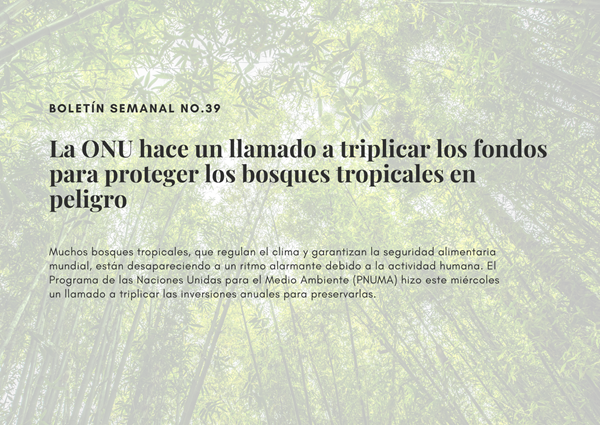 Noticia1 Ambientalex 28102025