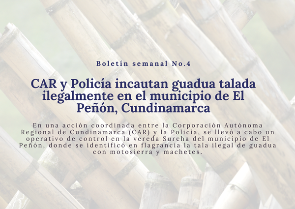 Noticia2 Ambientalex 11022025