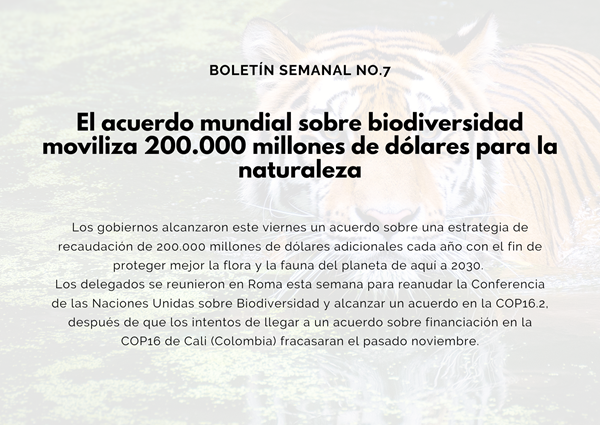 Noticia2 Ambientalex 13032025